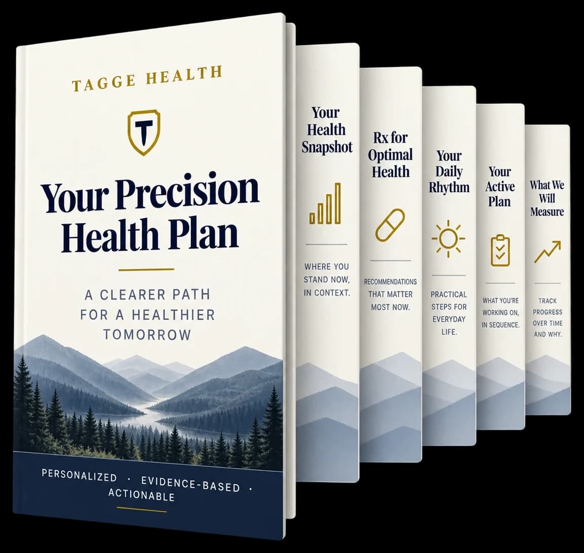 Illustration of the Tagge Health Precision Health Plan and its five sections.