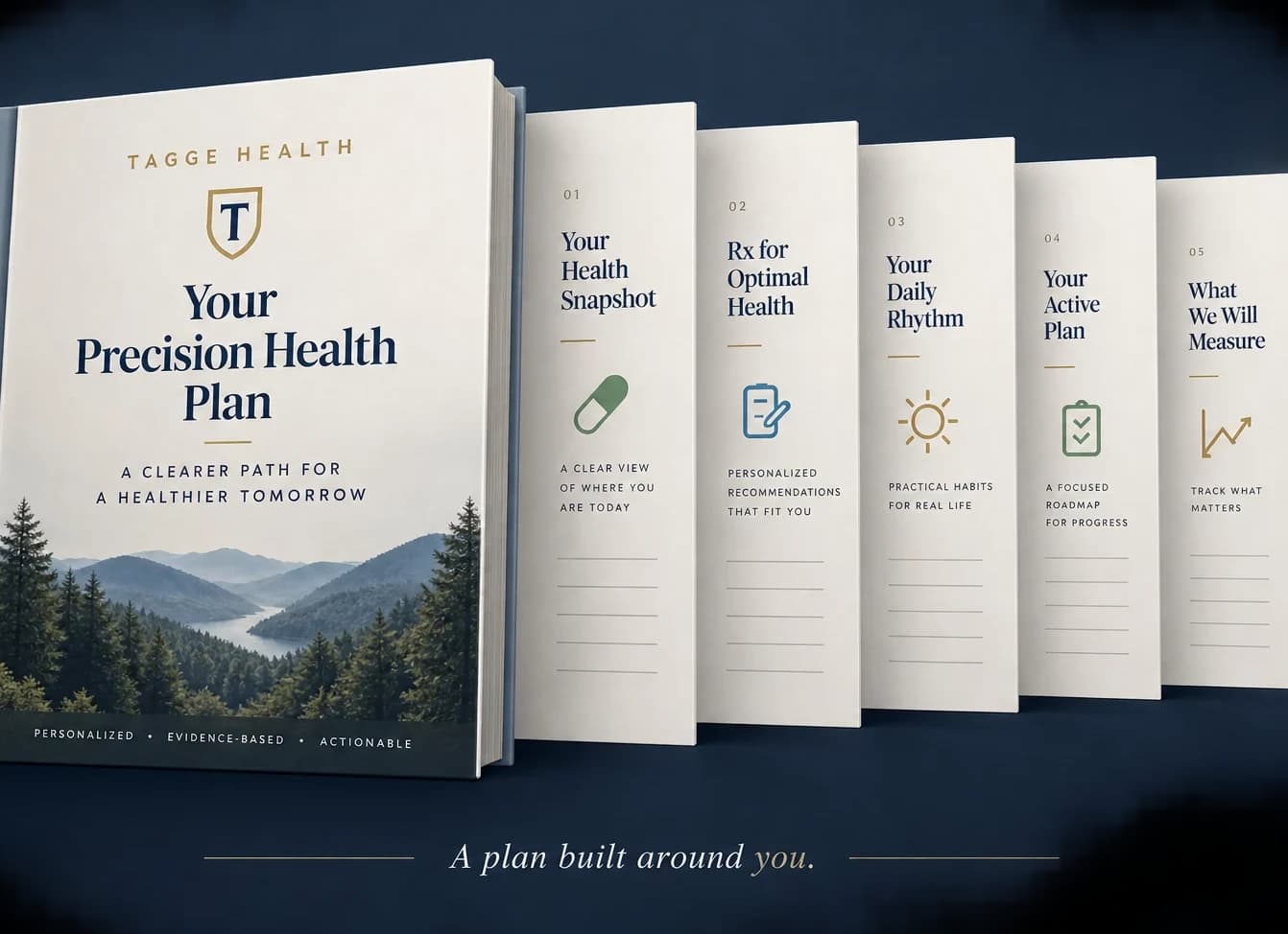 Illustration of the Tagge Health Precision Health Plan and its five sections.